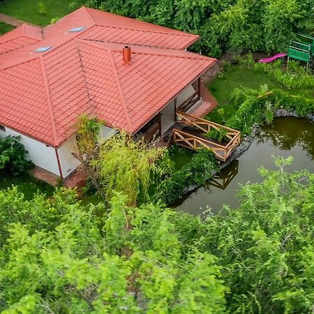 Casa Arcadia 1 Piscina,Jacuzzi, Sauna Buzau Exterior foto