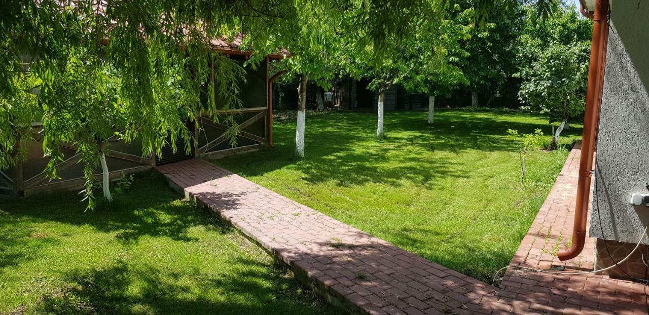 Casa Arcadia 1 Piscina,Jacuzzi, Sauna Buzau Exterior foto